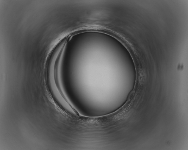 X0000088871414200706291530