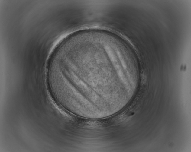 X0000088871416200706291530