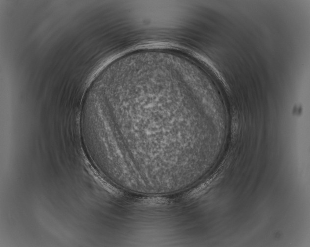 X0000088871417200706291530