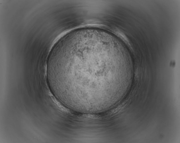 X0000088871420200706291530