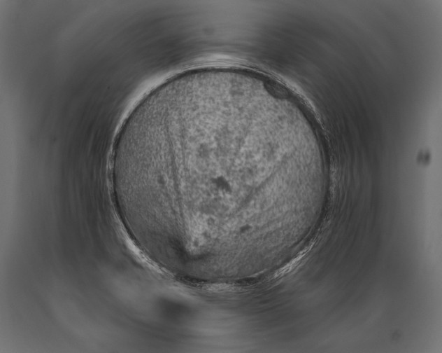 X0000088871421200706291530