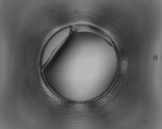 X0000088871422200706291530