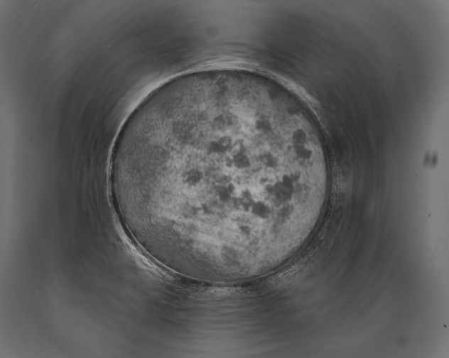 X0000088871423200706291530