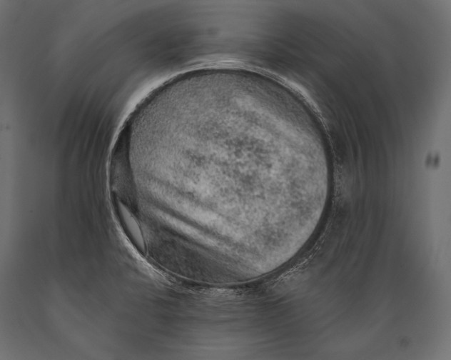 X0000088871424200706291530