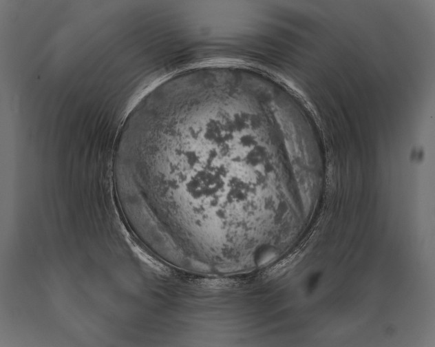 X0000088871425200706291530