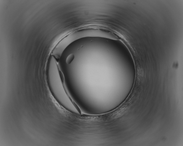 X0000088871426200706291530