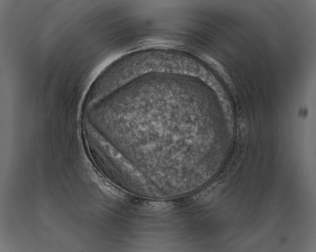 X0000088871427200706291530