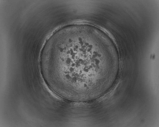 X0000088871429200706291530