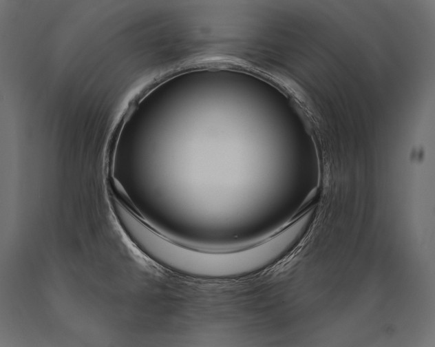 X0000088871430200706291530