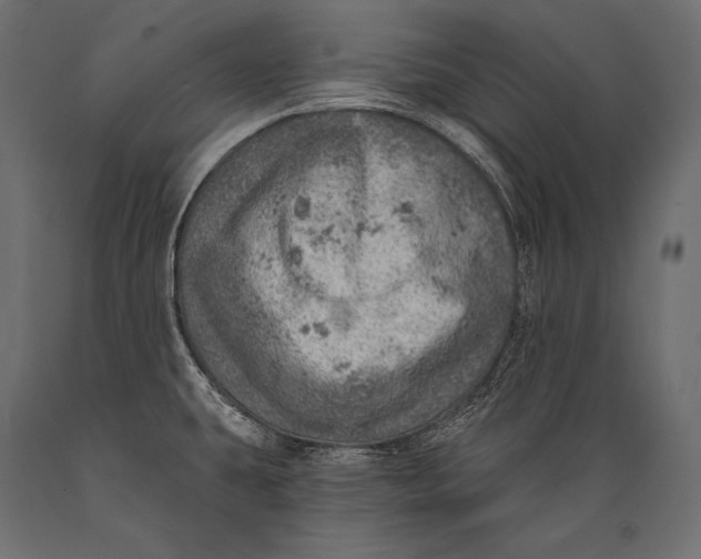 X0000088871431200706291530