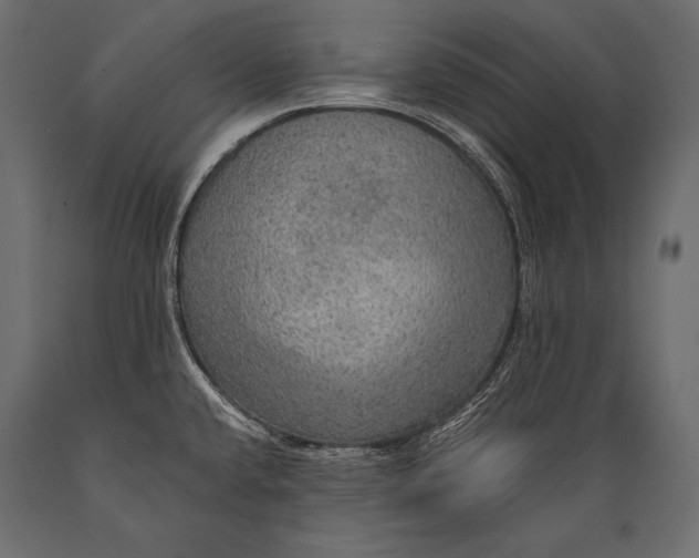 X0000088871432200706291530