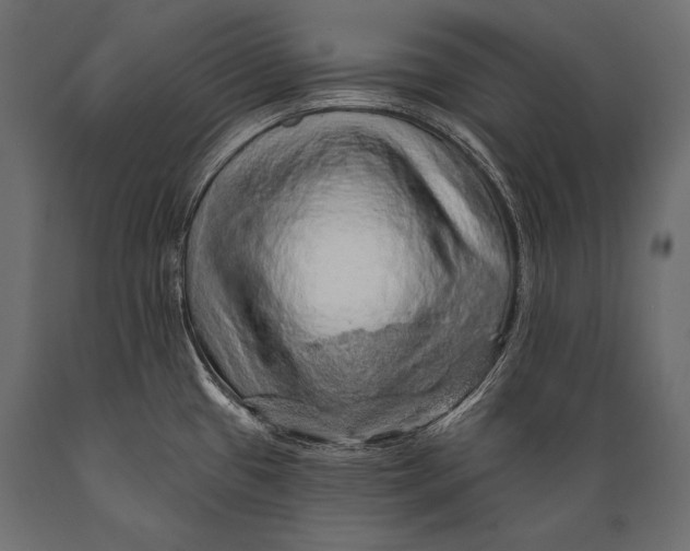 X0000088871433200706291530