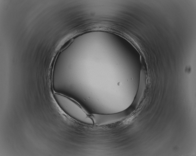 X0000088871434200706291530