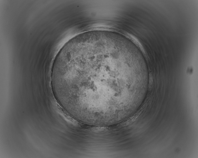 X0000088871435200706291530
