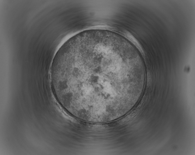 X0000088871436200706291530