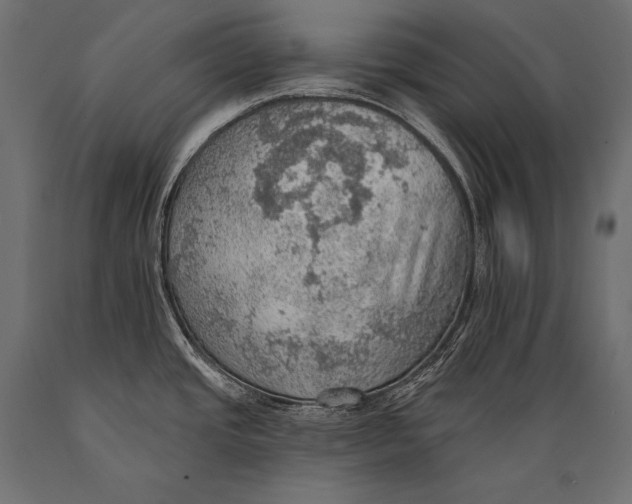 X0000088871437200706291530