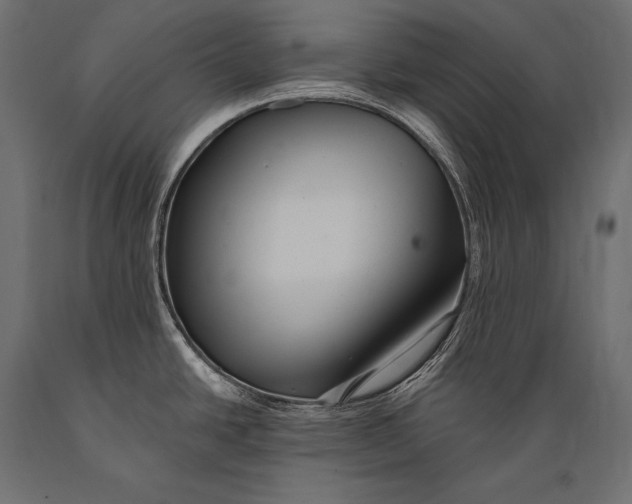 X0000088871438200706291530