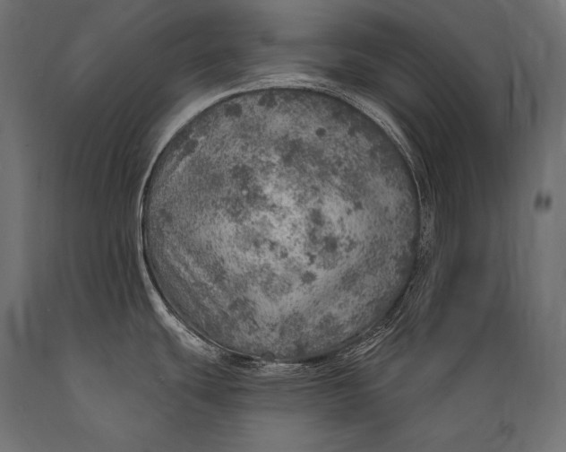 X0000088871439200706291530