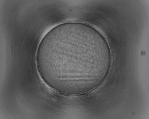 X0000088871440200706291530