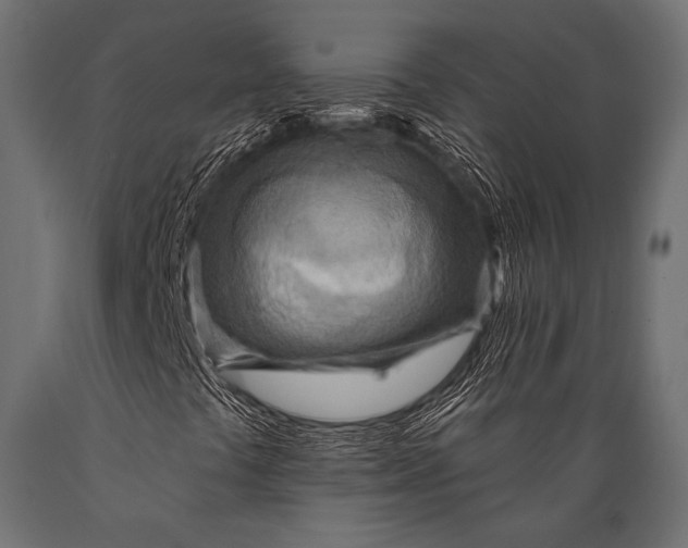 X0000088871441200706291529