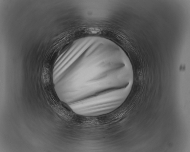 X0000088871442200706291529