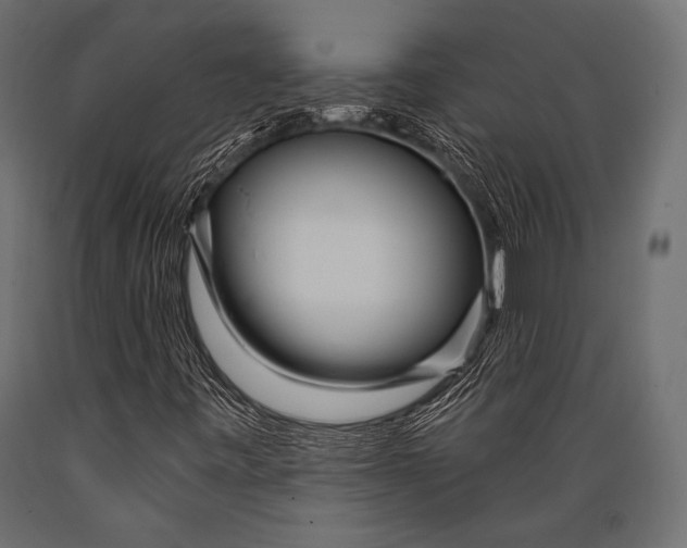 X0000088871443200706291529