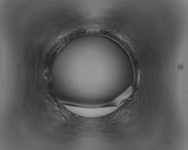 X0000088871445200706291529