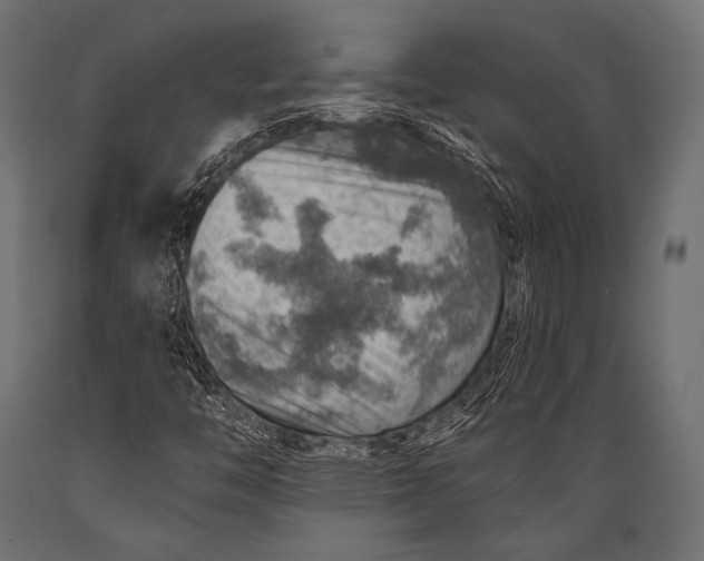 X0000088871446200706291529