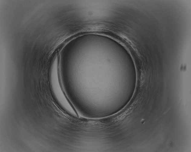 X0000088871449200706291529