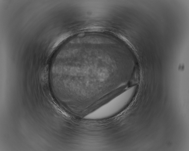 X0000088871450200706291529