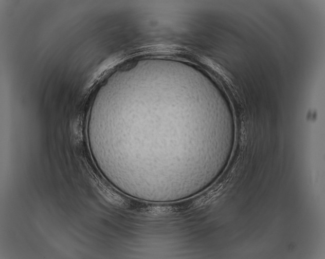 X0000088871451200706291529