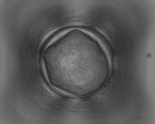 X0000088871452200706291529