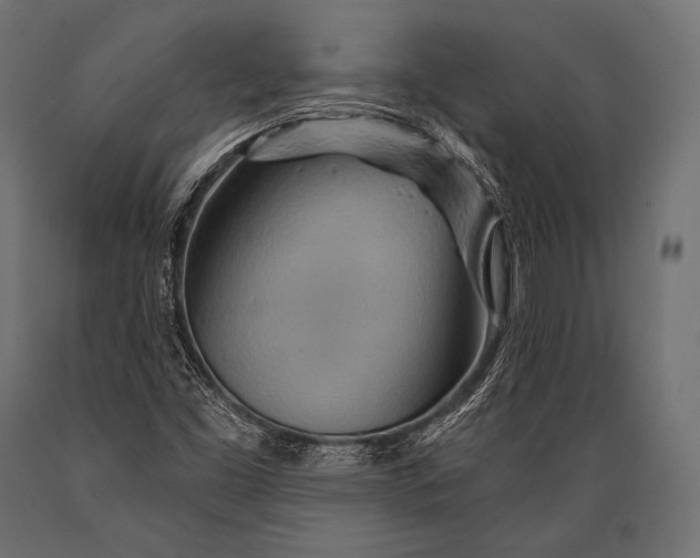 X0000088871453200706291529
