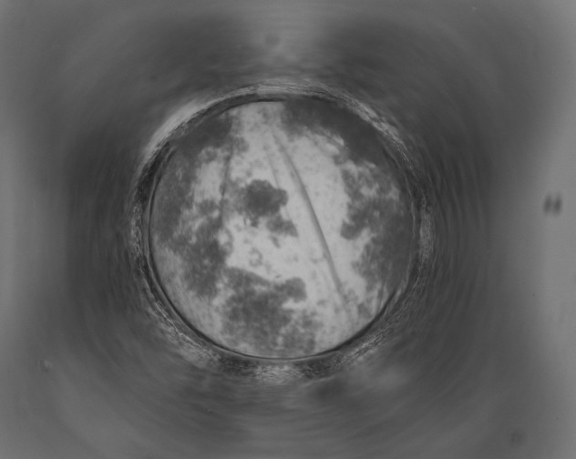 X0000088871454200706291529