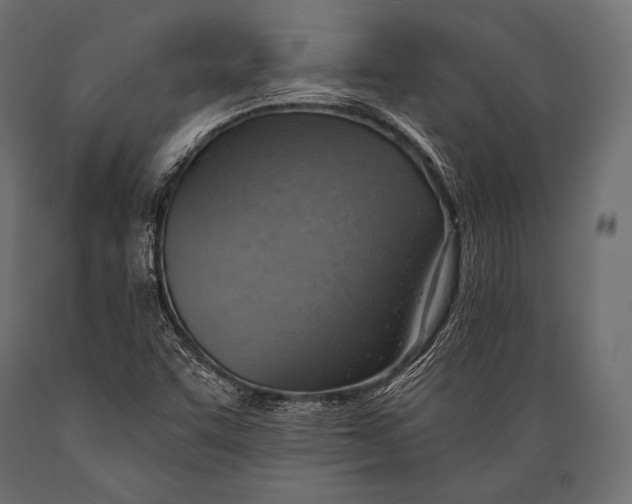 X0000088871455200706291529