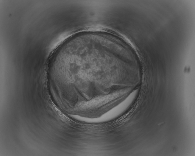 X0000088871456200706291529