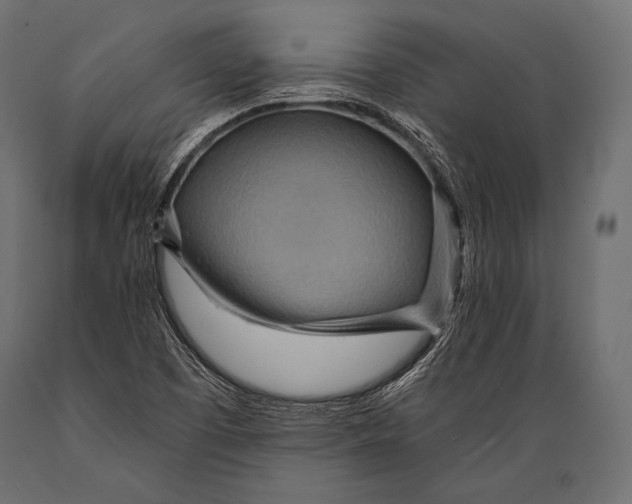 X0000088871457200706291529