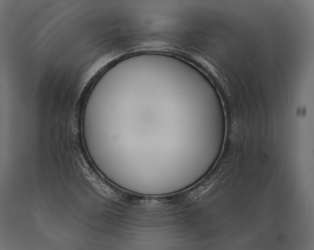 X0000088871458200706291529