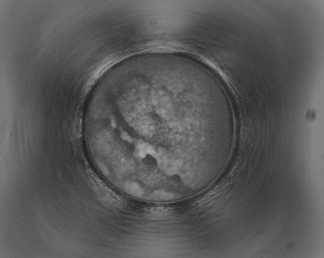 X0000088871459200706291529