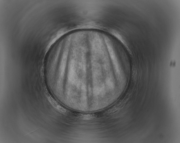 X0000088871460200706291529