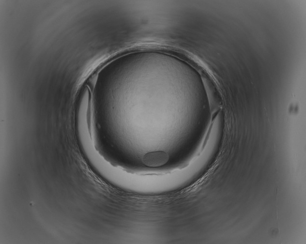 X0000088871461200706291529