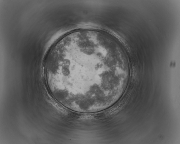 X0000088871462200706291529