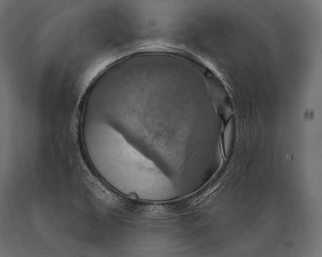 X0000088871463200706291529