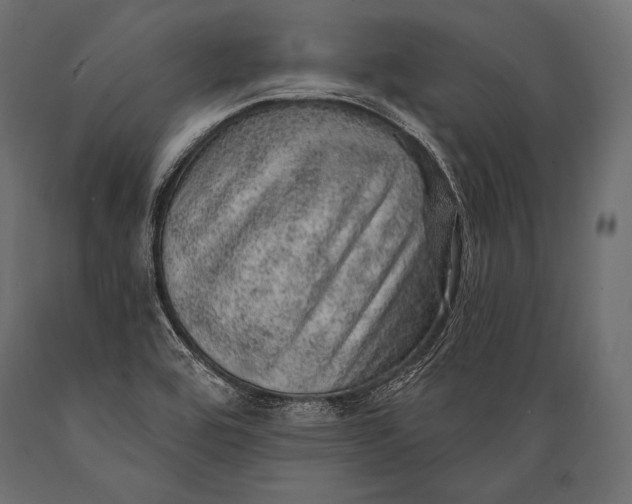 X0000088871464200706291529