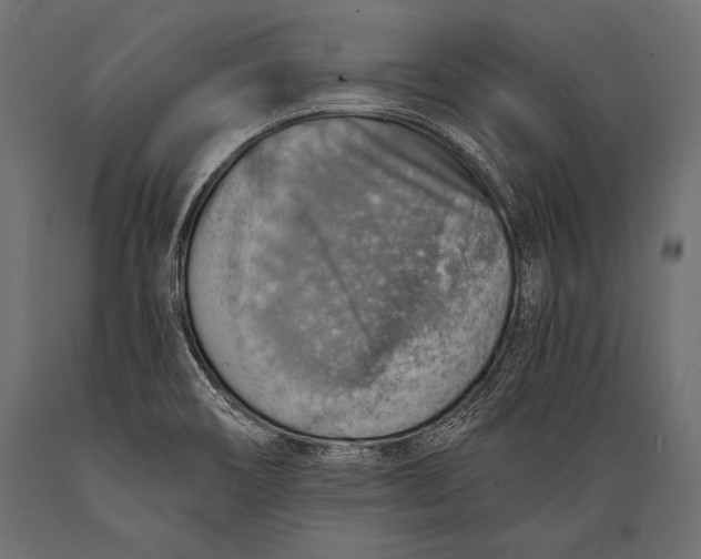 X0000088871466200706291529