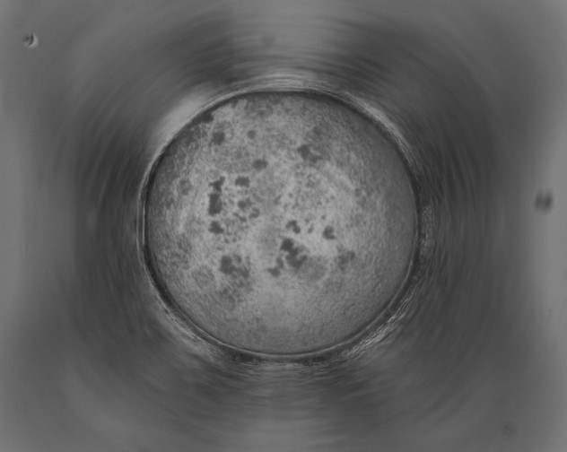 X0000088871467200706291529