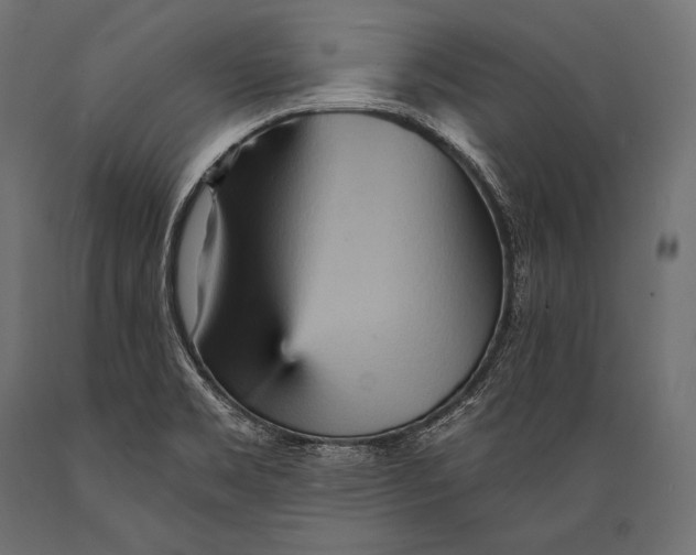 X0000088871469200706291529