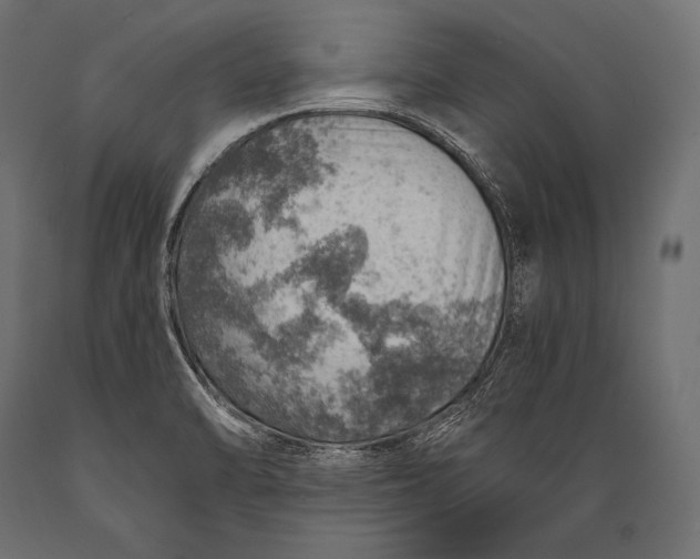 X0000088871470200706291529