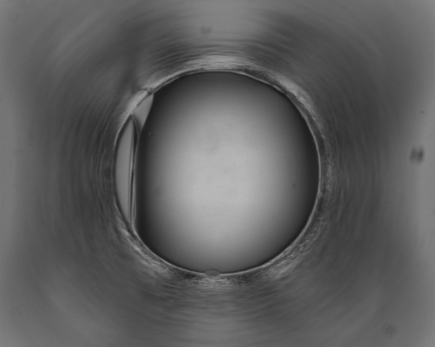 X0000088871473200706291529