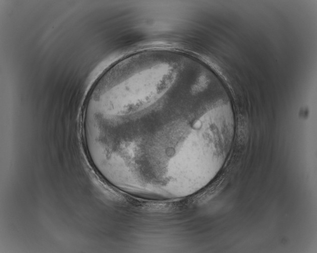 X0000088871474200706291529